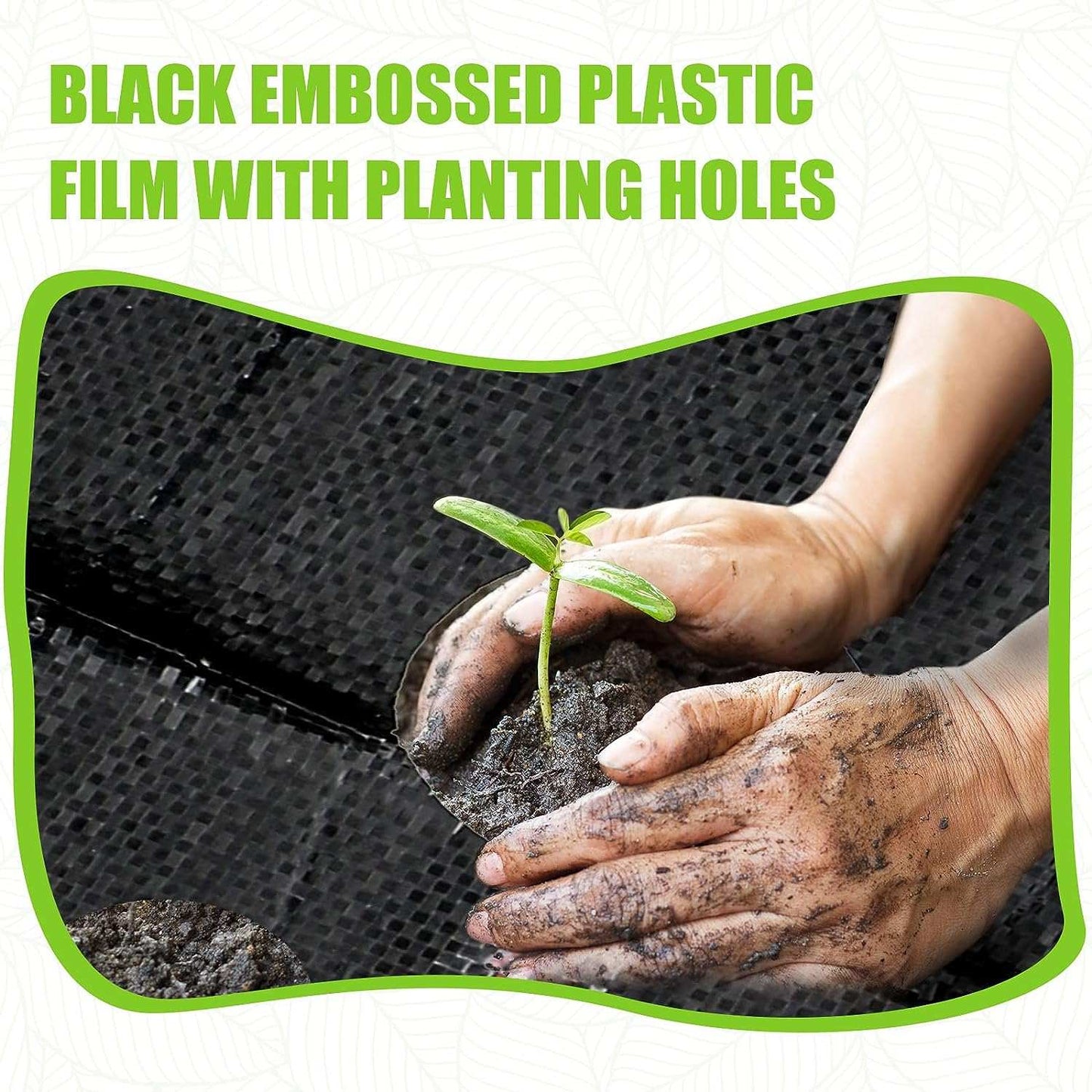 5 Pack Weed Barrier Landscape Fabric with 3'' Planting Holes 3.3 ft x Reliable Material: The heavy-duty landscape fabric is made of polyethylene material, sturdy and safe, reliable and reusable, UV protection and corrosion resistant,outdoorTOPDEALTOPDEAL8 ft Garden Weed Barrier Fabric Heavy Duty Weed Barrier Landscape Fabric