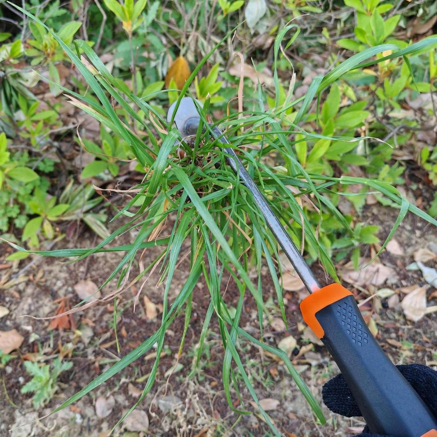 weeding tools