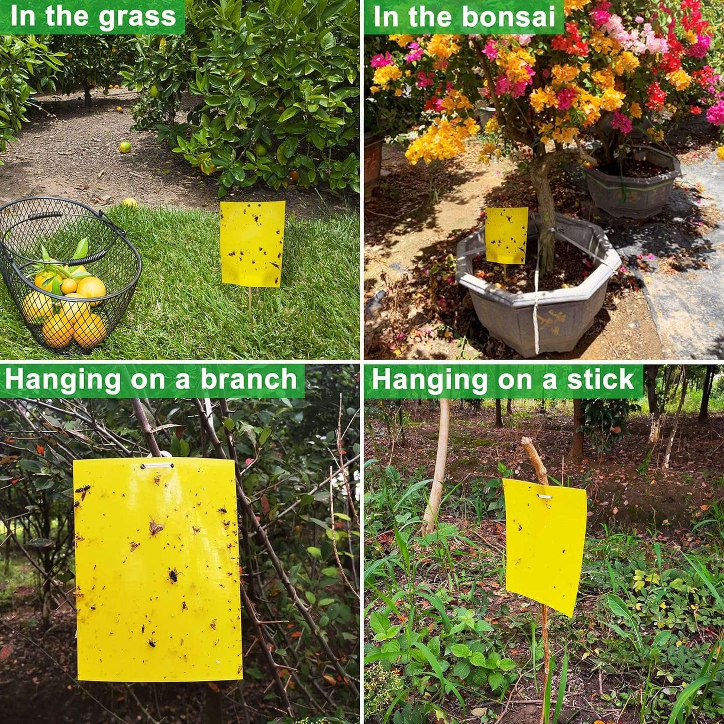 80 Sheets Yellow Sticky Traps, Fruit Fly Traps, for Indoor and OutdoorThis 80-sheet Yellow Sticky Trap set provides dual-sided strong glue to efficiently capture fruit flies, gnats, leaf miners, fungus flies, thrips, midges, and mosquioutdoorTOPDEALTOPDEAL80 Sheets Yellow Sticky Traps, Fruit Fly Traps,80 Sheets Yellow Sticky Traps, Fruit Fly Traps, for Indoor and Outdoor