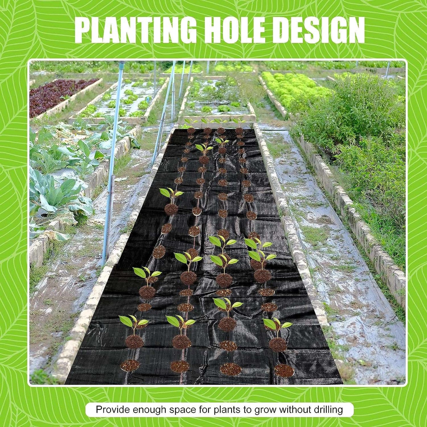 5 Pack Weed Barrier Landscape Fabric with 3'' Planting Holes 3.3 ft x Reliable Material: The heavy-duty landscape fabric is made of polyethylene material, sturdy and safe, reliable and reusable, UV protection and corrosion resistant,outdoorTOPDEALTOPDEAL8 ft Garden Weed Barrier Fabric Heavy Duty Weed Barrier Landscape Fabric