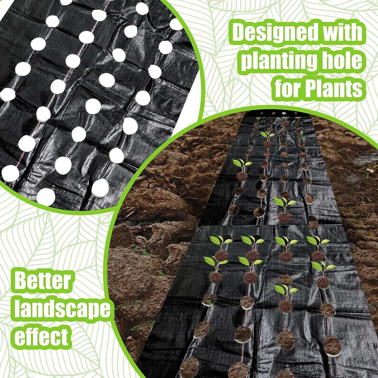 5 Pack Weed Barrier Landscape Fabric with 3'' Planting Holes 3.3 ft x Reliable Material: The heavy-duty landscape fabric is made of polyethylene material, sturdy and safe, reliable and reusable, UV protection and corrosion resistant,outdoorTOPDEALTOPDEAL8 ft Garden Weed Barrier Fabric Heavy Duty Weed Barrier Landscape Fabric