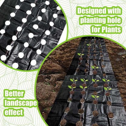 5 Pack Weed Barrier Landscape Fabric with 3'' Planting Holes 3.3 ft x   Reliable Material: The heavy-duty landscape fabric is made of polyethylene material, sturdy and safe, reliable and reusable, UV protection and corrosion resistant,outdoorTOPDEALTOPDEAL8 ft Garden Weed Barrier Fabric Heavy Duty Weed Barrier Landscape Fabric